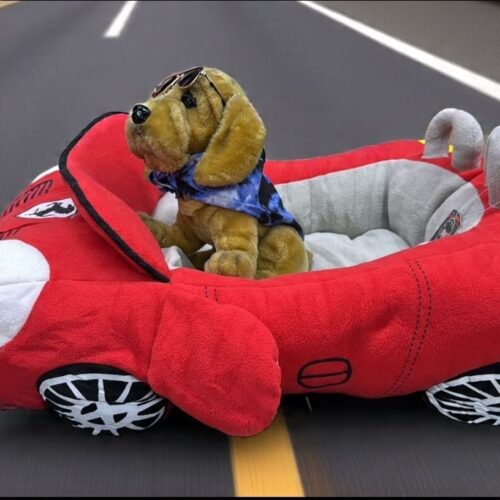 Moises Auto Especial