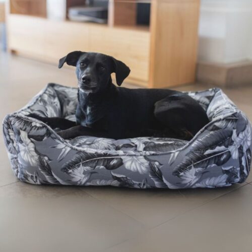 moises estampado tropical Yummy