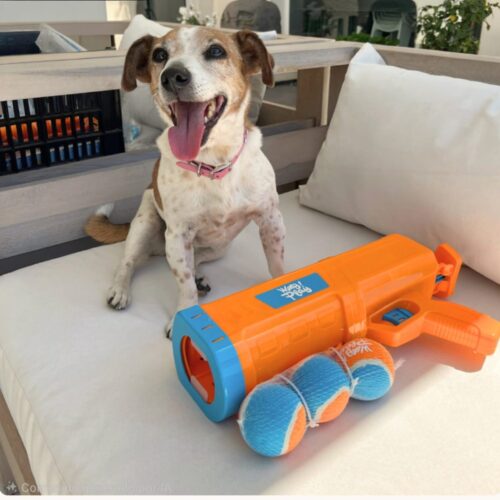 Pistola Lanzador de Pelotas