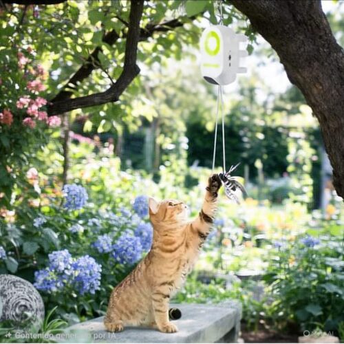 Alternative view of Yoyo Bug Interactivo