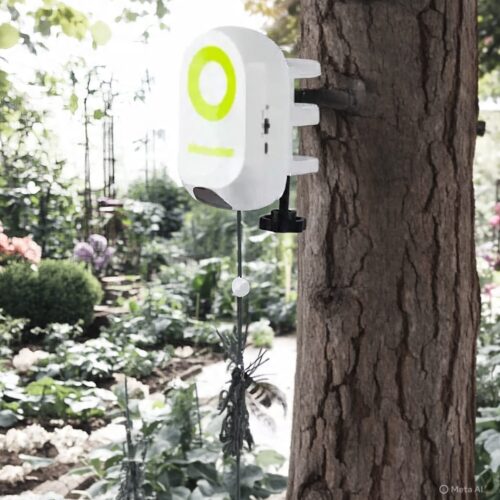 Yoyo Bug Interactivo