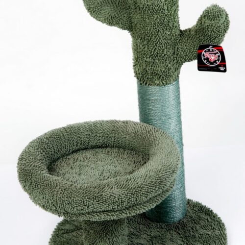 Alternative view of Rascador Cactus Verde