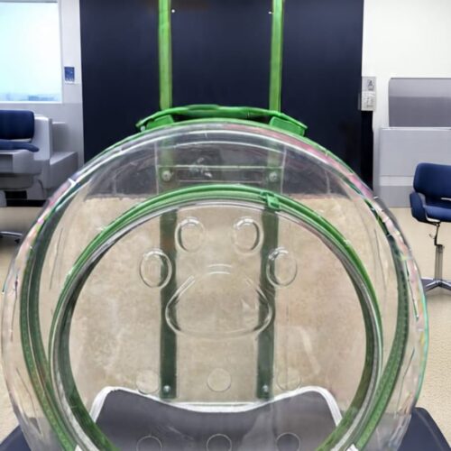 Transportador Para mascotas