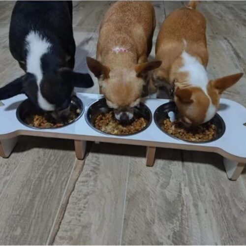 Comedero Hueso triple