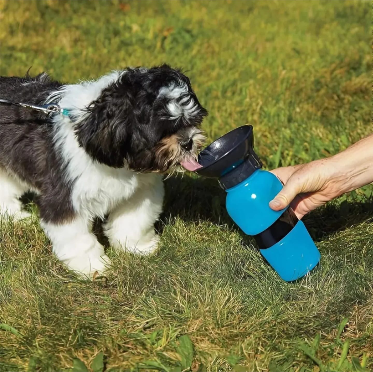 Botella Portatil Para Perros Gatos Antiderrame - Imagen 7