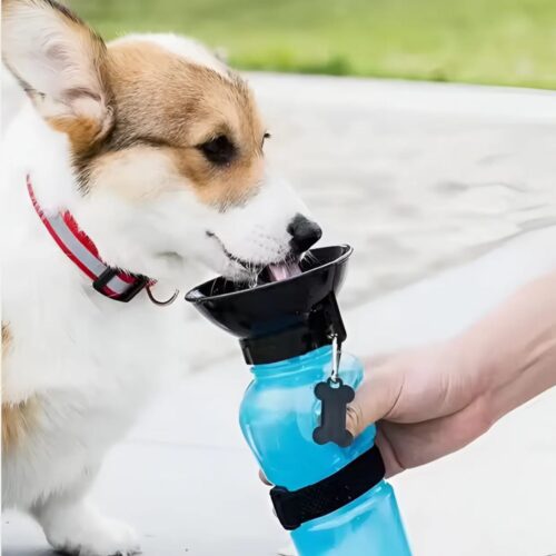 Botella Portatil Para Perros Gatos Antiderrame