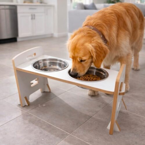 Comedero Doble Regulable