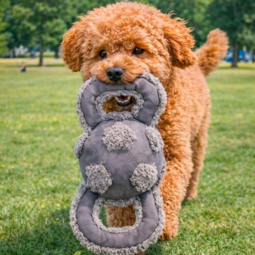 Pelota Peluche Tirador 15 cm. AFP