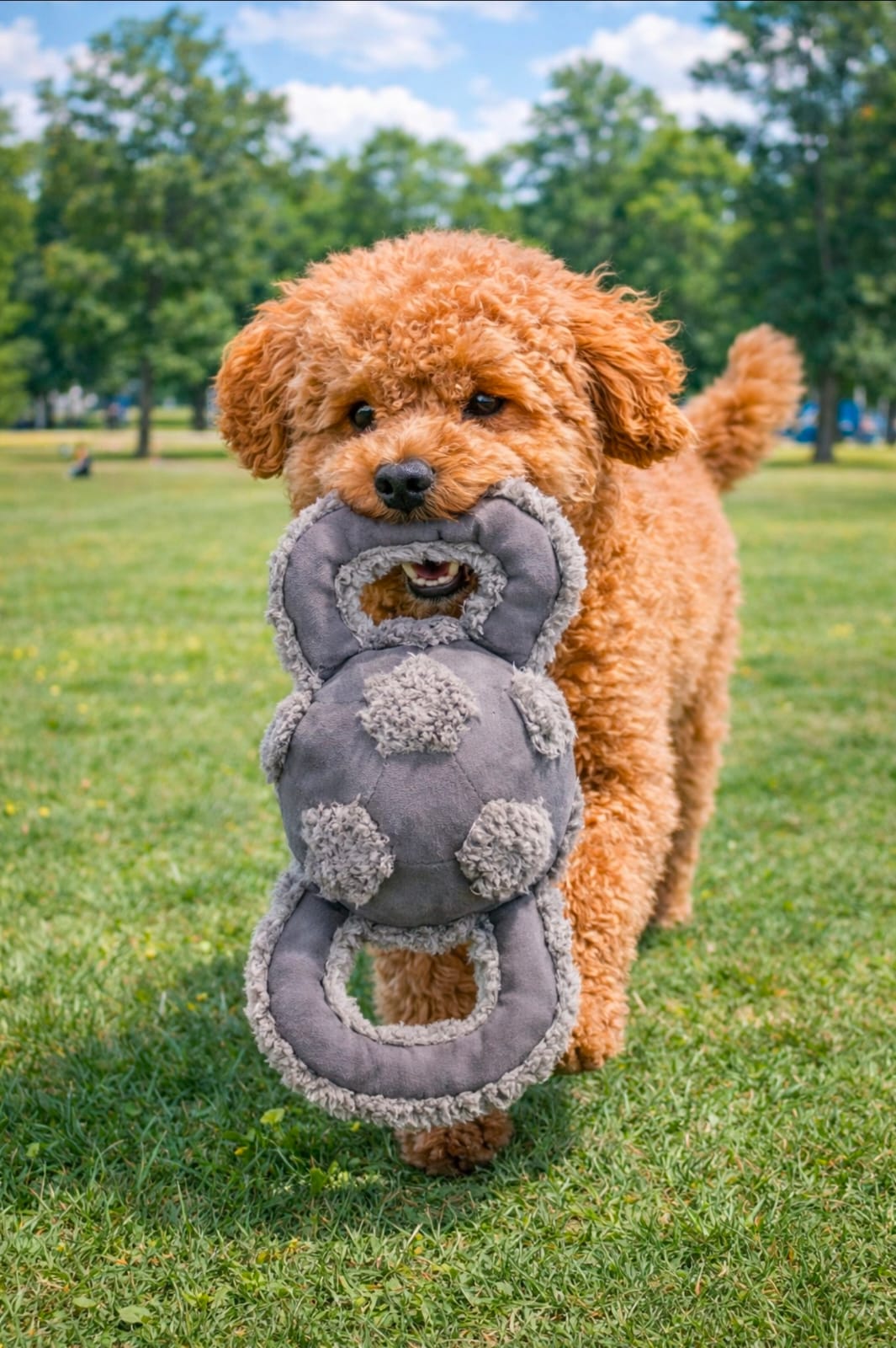 Pelota Peluche Tirador 15 cm. AFP