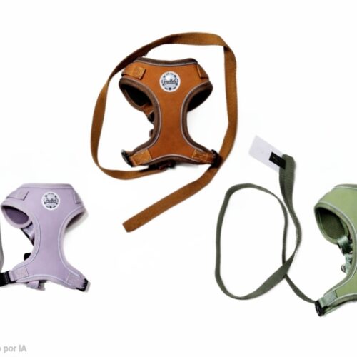 Arnes Chaleco Noeprene Reflex Con Correa