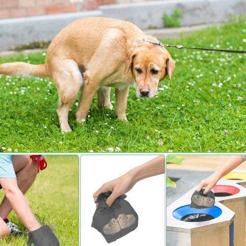 Alternative view of Pack de Bolsas Higiénicas 4 unidades