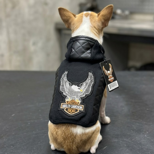 Alternative view of CHAQUETA HARLEY DAVIDSON