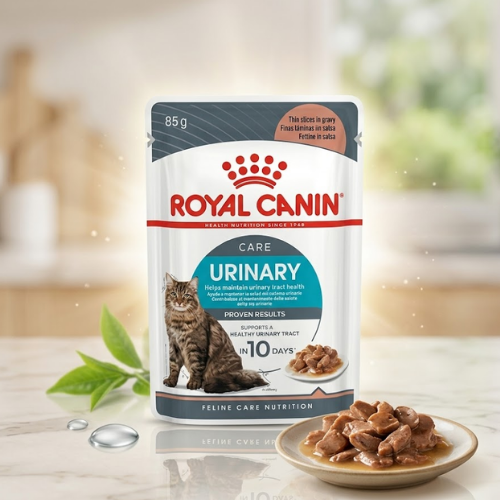 Pouch Royal Canin Urinary Care 85g