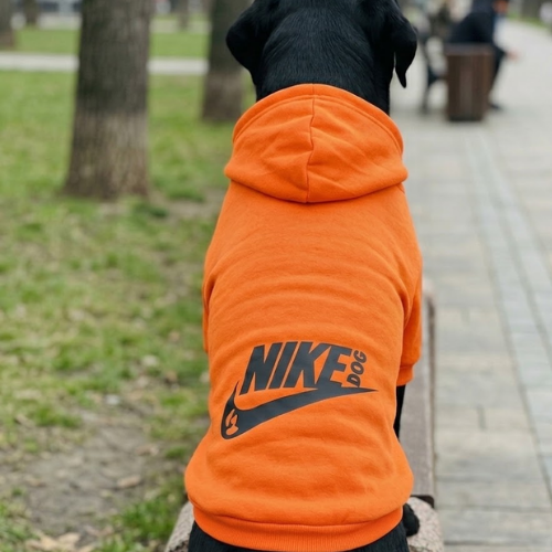 Alternative view of BUZO NIKE DOG