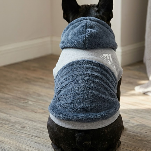 Alternative view of Adidas dog