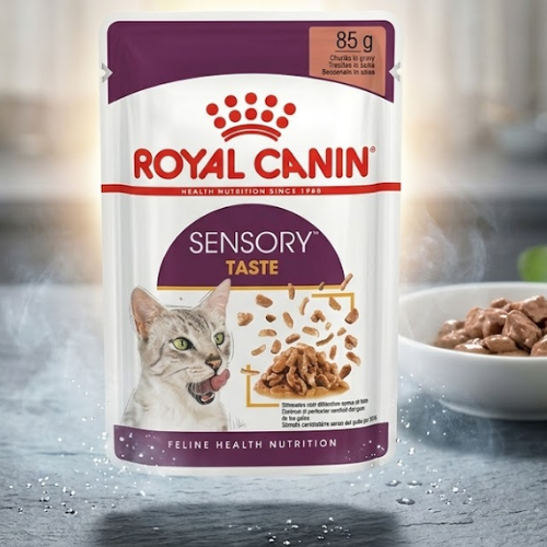 Royal Canin Sensory Taste 85g