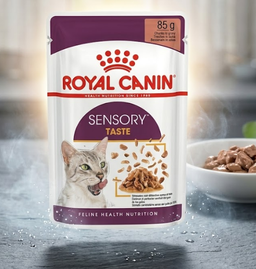 Royal Canin Sensory Taste 85g