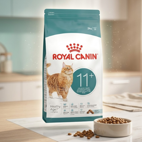 Royal Canin Ageing 11+ Feline 2kg