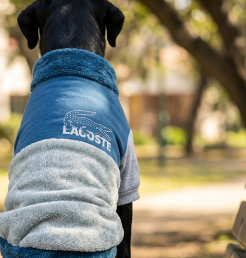 POLERA LACOSTE GRIS Y AZUL