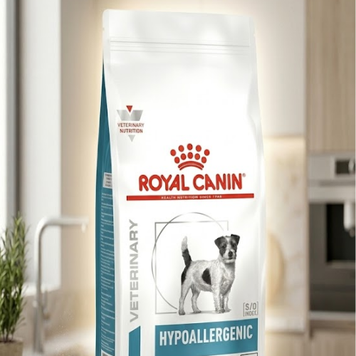 Hypoallergenic Small Dog