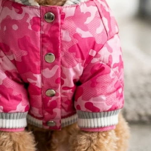 Alternative view of CAMPERA ABRIGADA CANINA