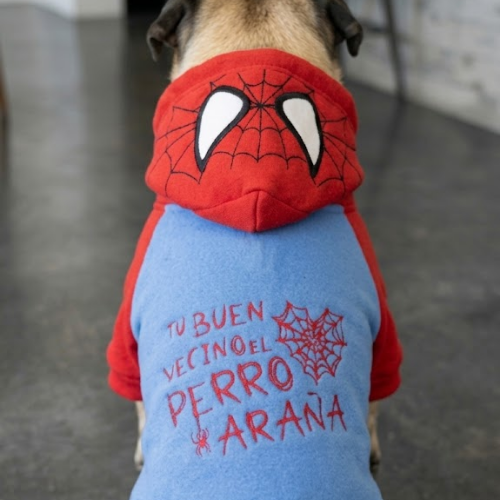 Alternative view of BUZO SPIDERMAN