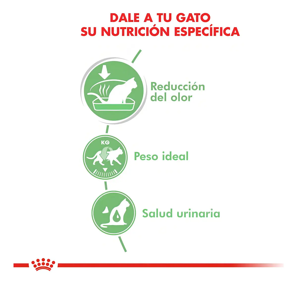 Royal Canin Digest Sensitive Pouch 85G - Imagen 3
