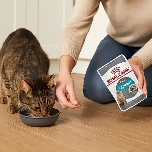 Alternative view of Pouch Royal Canin Urinary Care 85g