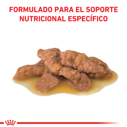 Alternative view of Royal Canin Alimento Húmedo para Gato Urinary S/O Feline | 85 gr