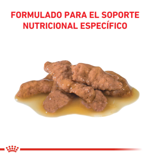 Royal Canin Alimento Húmedo para Gato Urinary S/O Feline | 85 gr - Imagen 2