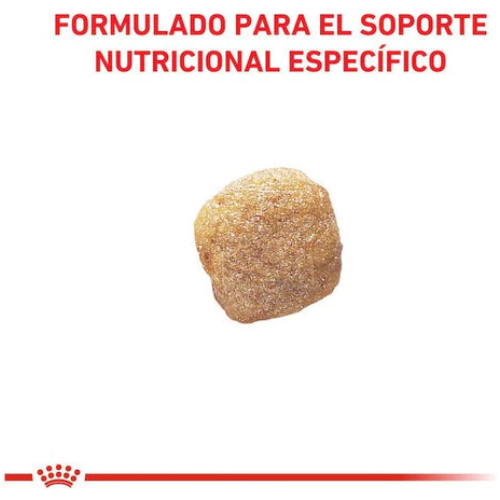 Alternative view of Alimento Royal Canin Perro Adulto Hepatic - 1,5 Kg