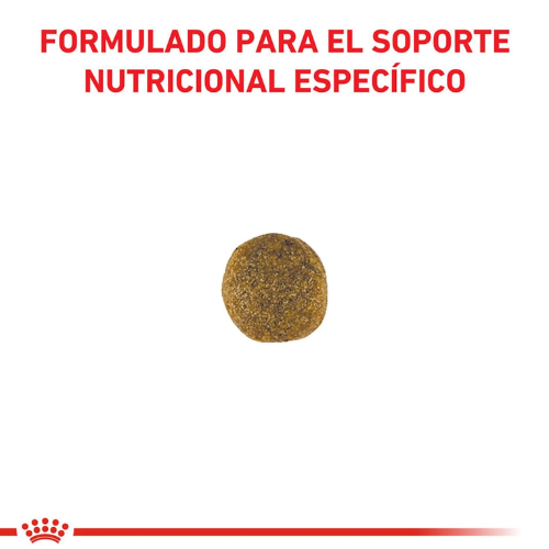 Alternative view of Alimento Royal Canin Perro Adulto Cardiac - 2 Kg