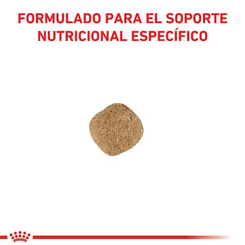 Alternative view of Royal Dog Gastrointestina Low Fat 1.5Kg