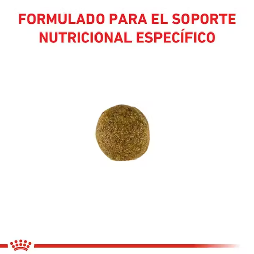 Alternative view of Alimento Royal Canin Adulto Gastrointestinal - 2 Kg