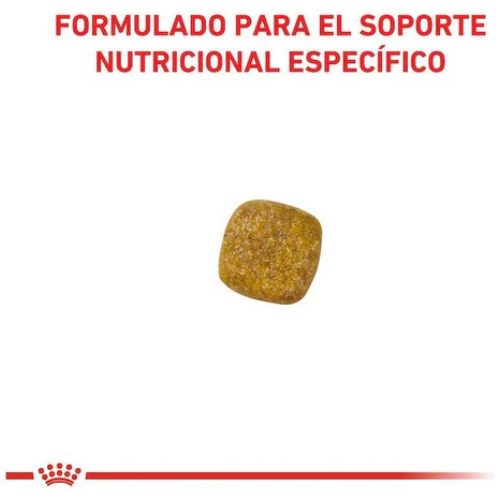 Alternative view of Royal Canin Renal Canine 1.5kg