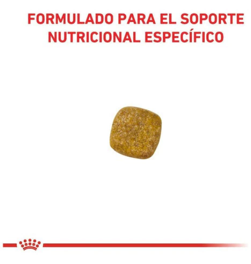 Royal Canin Renal Canine 1.5kg - Imagen 2