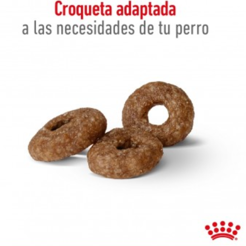 Alternative view of Royal Canin Mini Ageing 12+ 3kg