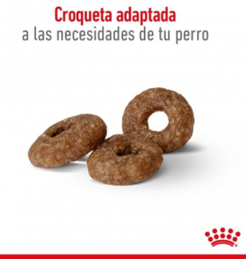 Royal Canin Mini Ageing 12+ 3kg - Imagen 2
