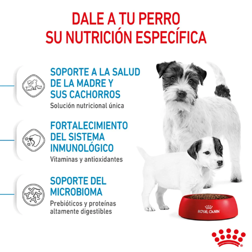 Alternative view of Alimento Royal Canin Mini Starte Madre Cachorros - 1 Kg
