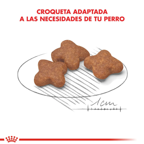 Alternative view of Alimento Royal Canin Perro Mini Adult 8+ - 3 Kg