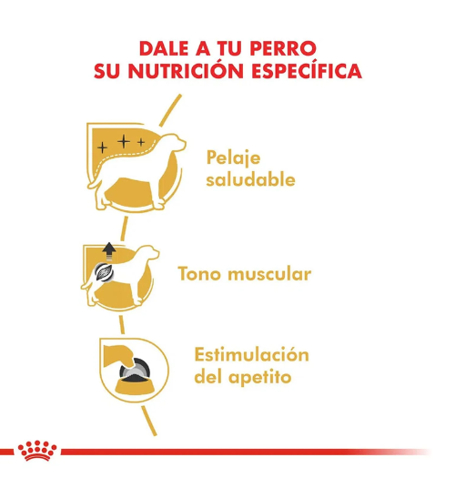 Pouch Royal Canin Caniche - Royal Canin85 Gr - Imagen 4