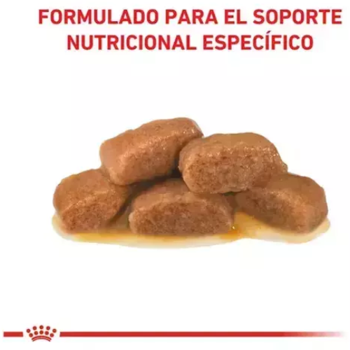 Alternative view of Royal Canin Alimento Húmedo para Gato Mature Consult 85 gr