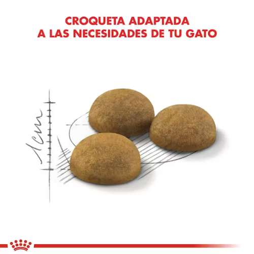 Alternative view of Royal Canin Indoor Long Hair Feline 1.5kg
