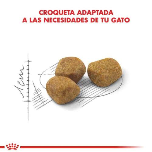 Alternative view of Royal Canin Gato Indoor 7+ 1.5 Kg