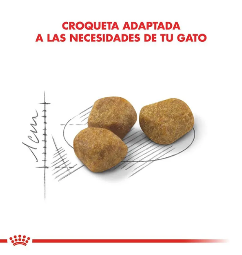 Royal Canin Gato Indoor 7+ 1.5 Kg - Imagen 2