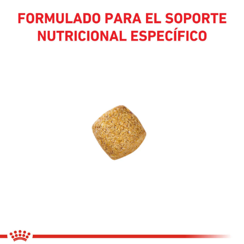 Alternative view of Royal Canin Gato Castrado-Weight Control X 1.5 Kg