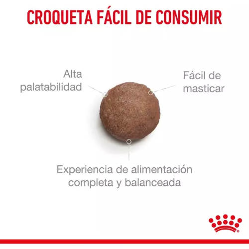 Alternative view of Royal Canin Ageing 11+ Feline 2kg