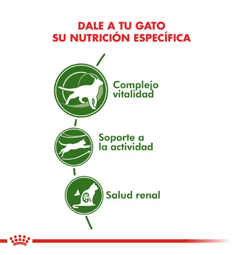 Royal Canin Active 7+ – 1,5 Kg - Imagen 3
