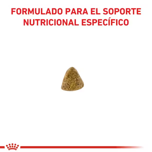 Alternative view of Royal Canin Hypoalergenic Feline 2kg