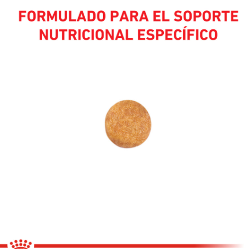 Alternative view of Royal Canin Gato Hepatic 1,5Kg